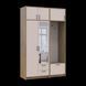 &Scaron;atn&iacute;kov&aacute; skriňa Doros Rondi s ve&scaron;iakom, zrkadlom a nadstavbou Dub Artisan/Ka&scaron;m&iacute;r 2 DTD 142x52x236 (42005274) 2858047127 foto 6