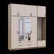 &Scaron;atn&iacute;kov&aacute; skriňa Doros Rondi s ve&scaron;iakom, zrkadlom a vysokou nadstavbou Dub Artisan/Ka&scaron;m&iacute;r 4 DTD 220x52x260 (42005302) 2858111912 foto 6